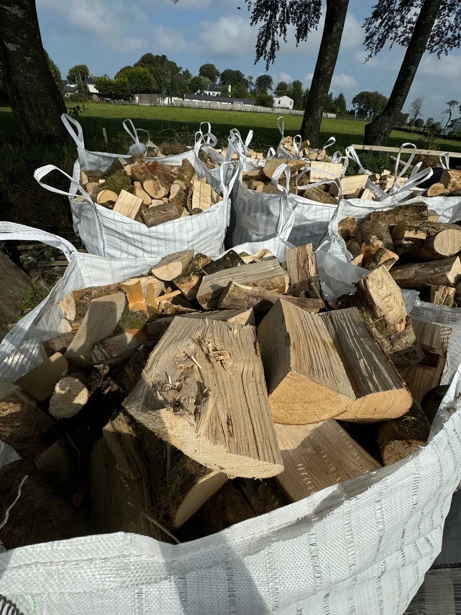 Firewood - Image 2