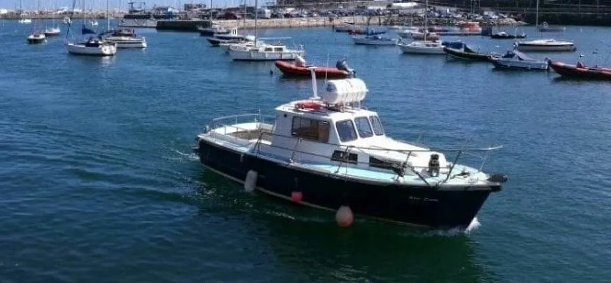 Ashes at Sea - Partners Wanted - Image 2