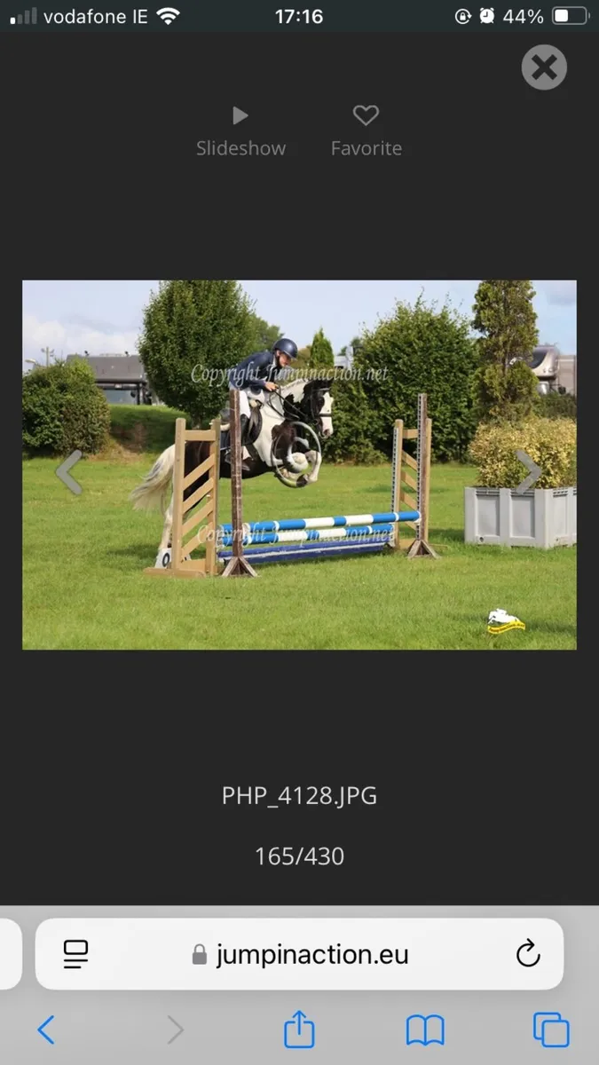 PC/SJ/Allrounder Pony - Image 1