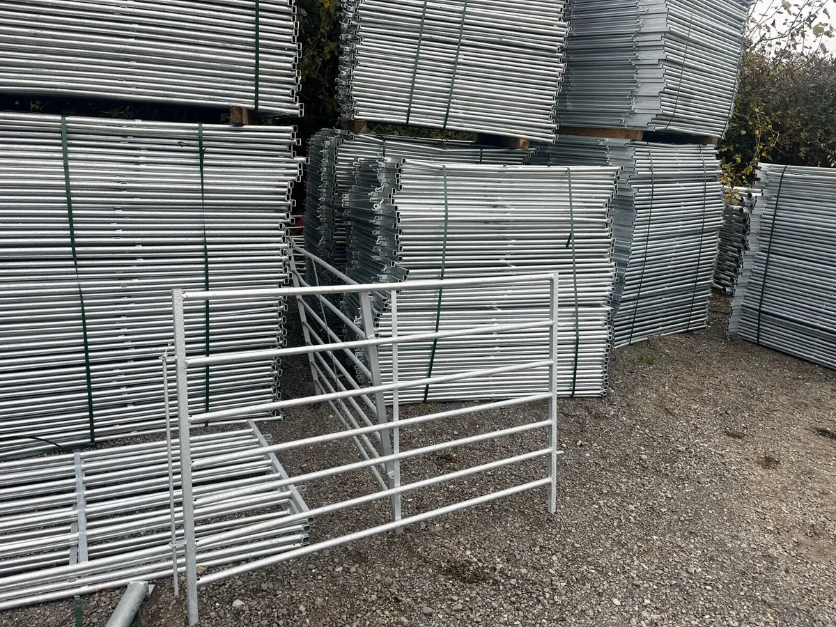 5 foot sheep , Pens - Image 1