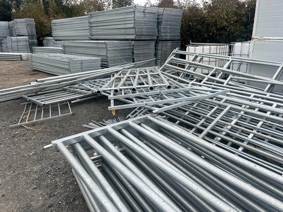 5 foot sheep , Pens - Image 2