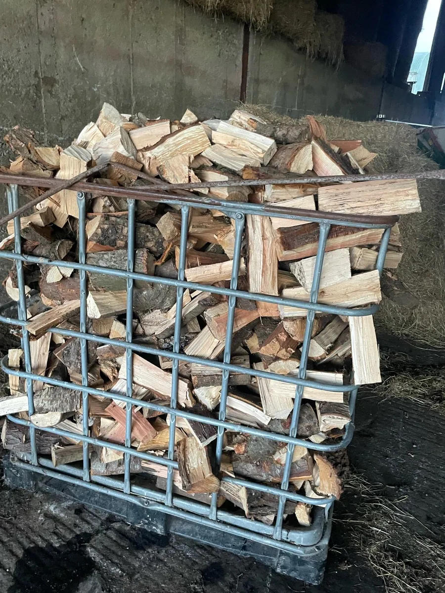 timber for sale - Image 3