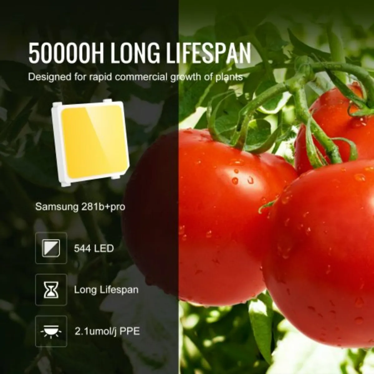 LED Grow Light, 200W Full Spectrum Dimmable, High - Image 4