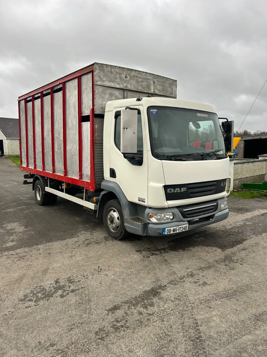 2008 DAF LF45.160 Livestock Truck - Image 3