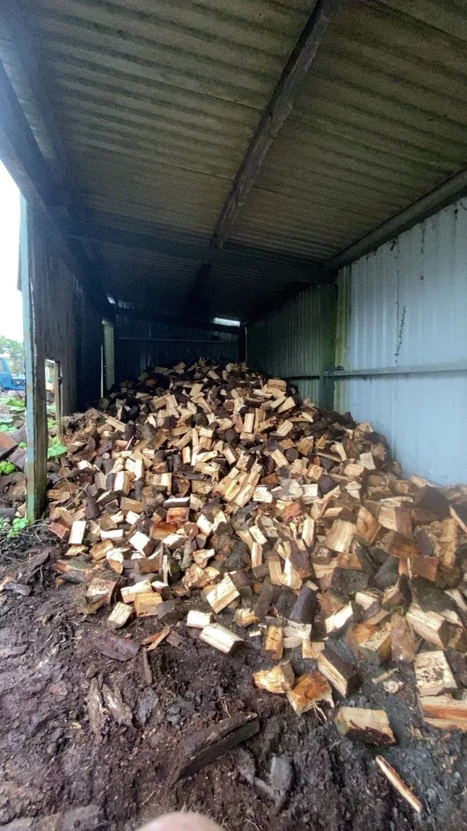 Log splitter hire - Image 2