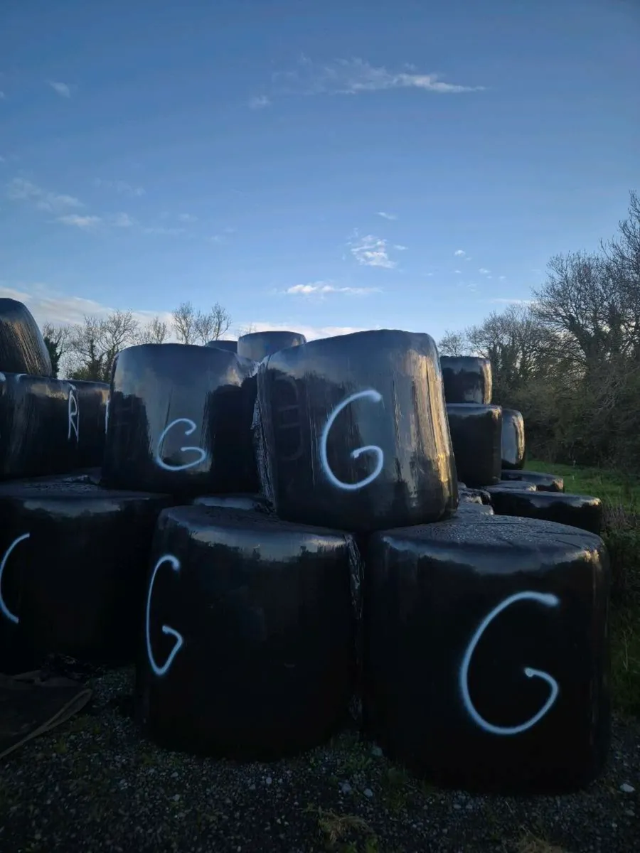 Bales for sale - Image 1
