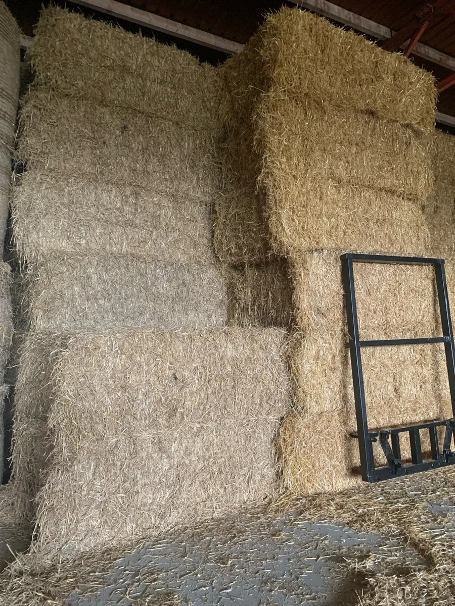 Top quality straw and hay big and small squares - Image 4
