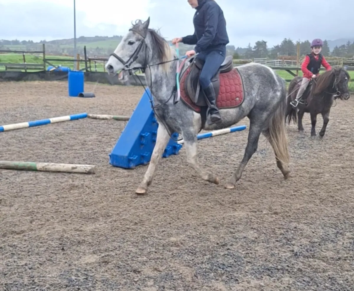 3 for sale see below - Image 3