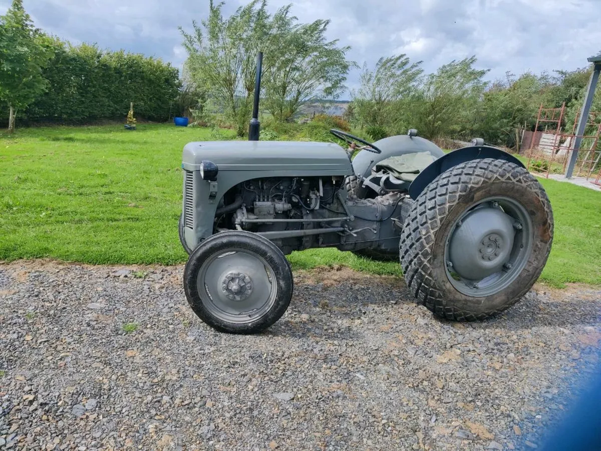 Ferguson 20 - Image 4