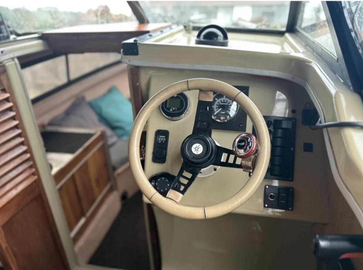 Shetland Black Hawk - Image 3