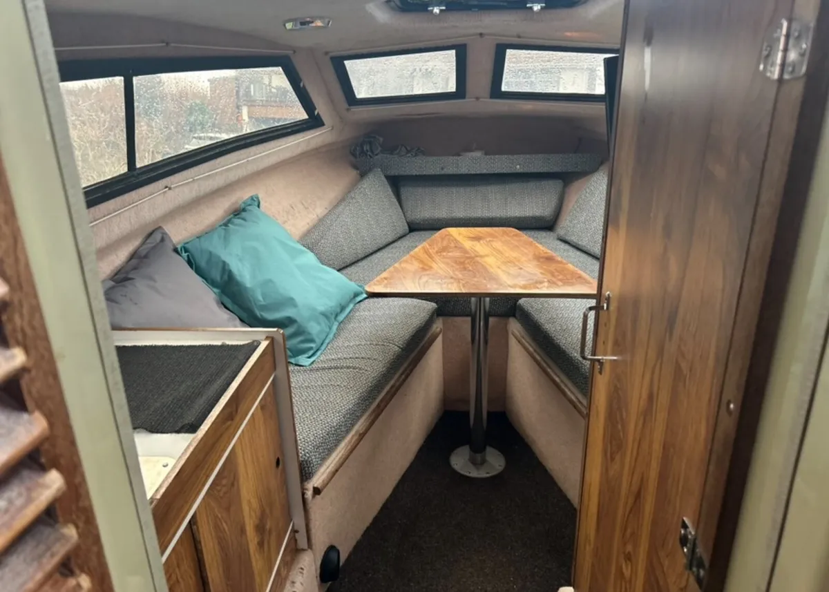 Shetland Black Hawk - Image 4