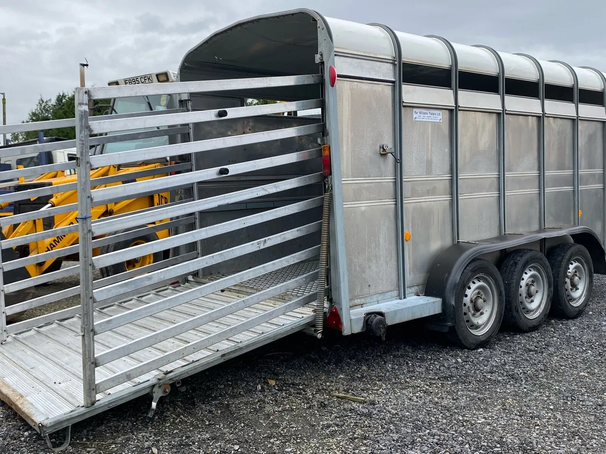 IVOR WILLIAMS 14ft CATTLE TRAILER - Image 1