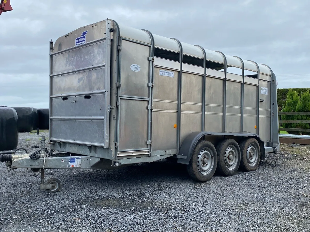 IVOR WILLIAMS 14ft CATTLE TRAILER - Image 3