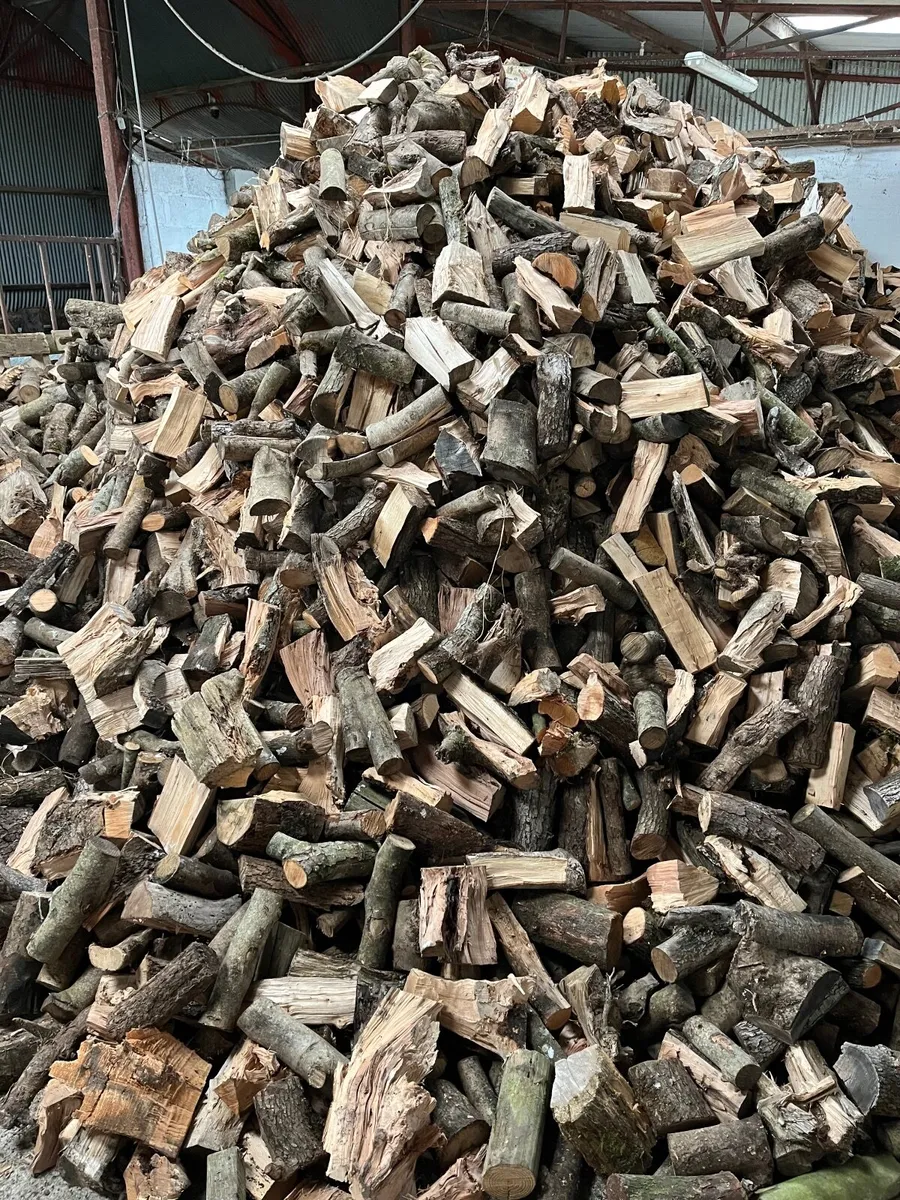 Firewood for Sale - Image 1