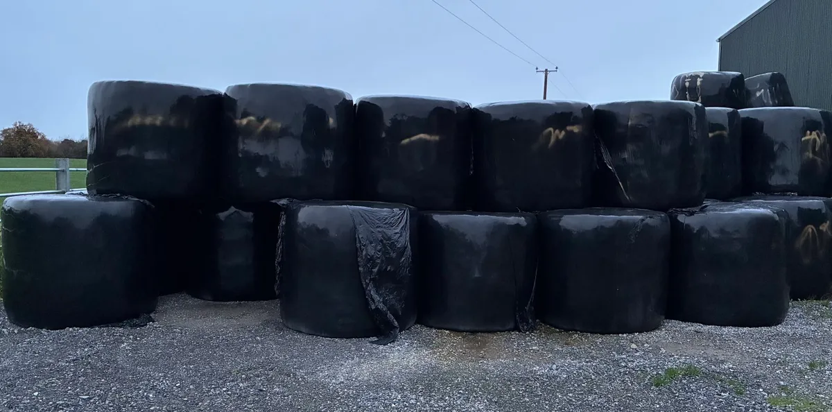 Silage Bales - Image 1