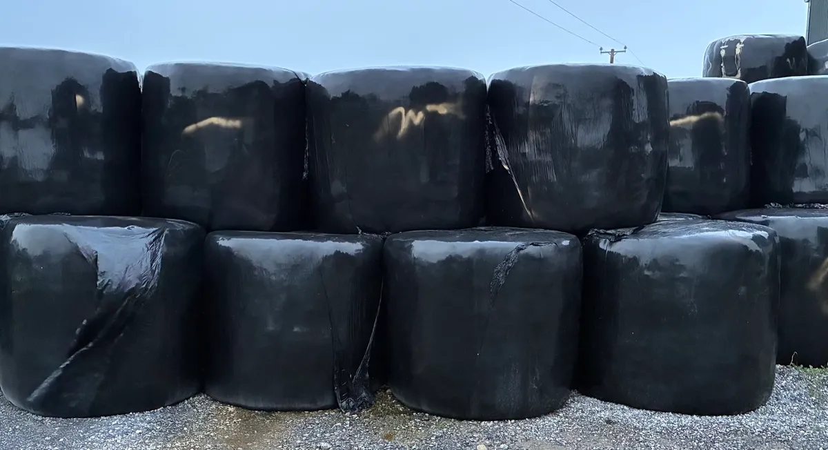 Silage Bales - Image 2