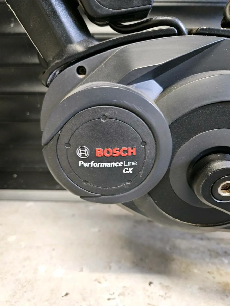 Gepida Asgard - Image 3