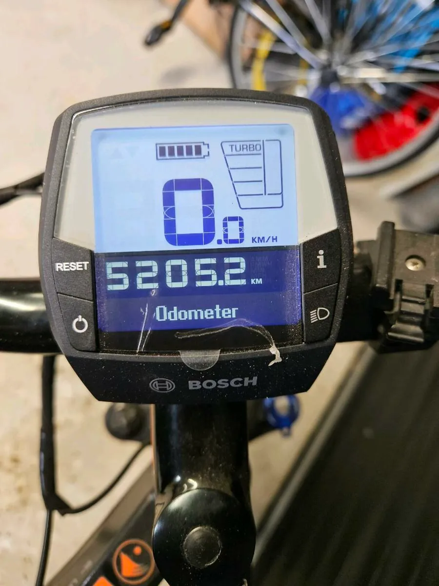 Gepida Asgard - Image 4