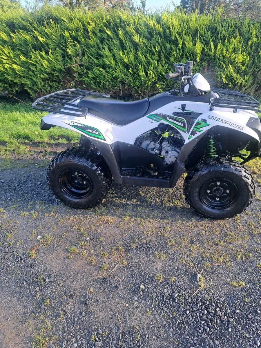 Kawasaki brute force - Image 1