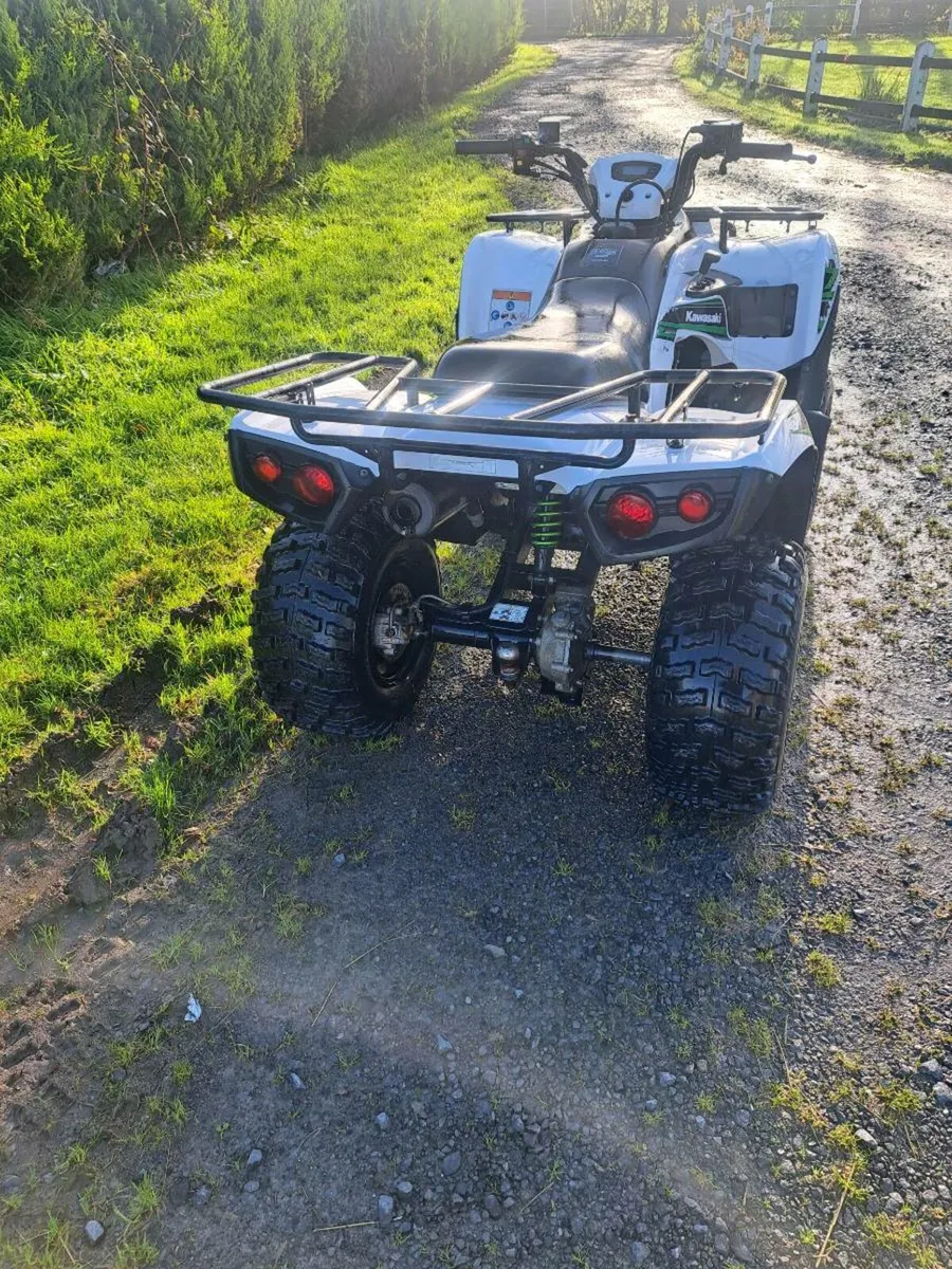 Kawasaki brute force - Image 3