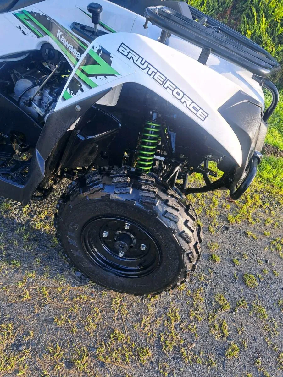 Kawasaki brute force - Image 4