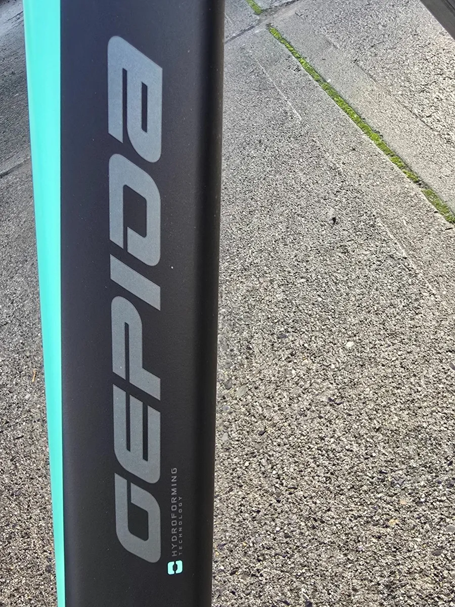 Electric Bike - Image 2