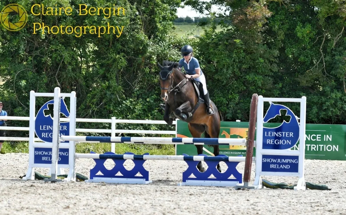 Amateur Showjumping Mare - Image 1