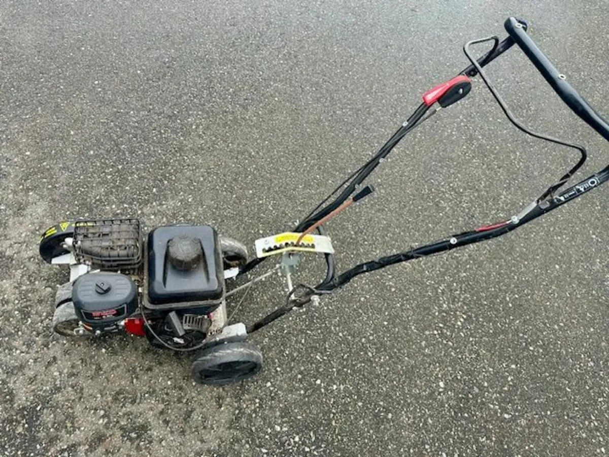 Briggs & Stratton 550 Garden Edger - Image 2