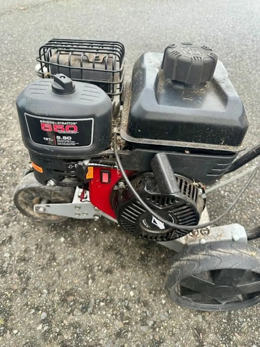 Briggs & Stratton 550 Garden Edger - Image 1