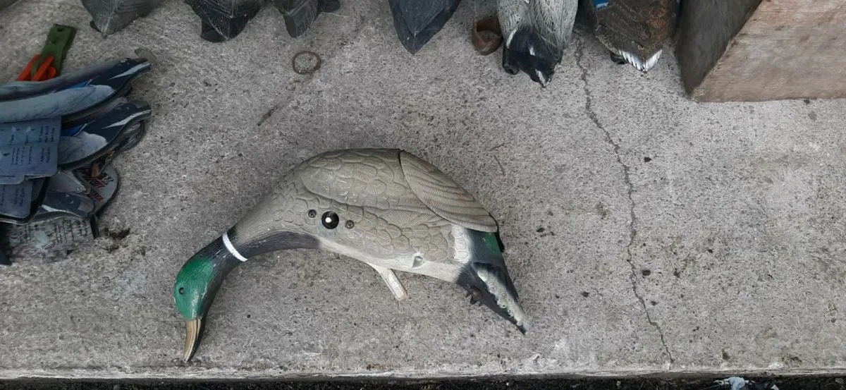 Duck Hunting Shooting Decoys - Image 4