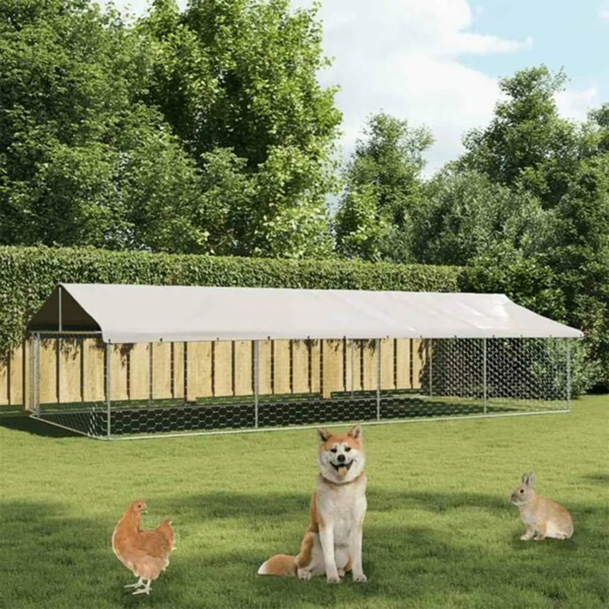 Outdoor Dog Kennel with Roof 600x300x150 cm - Image 2