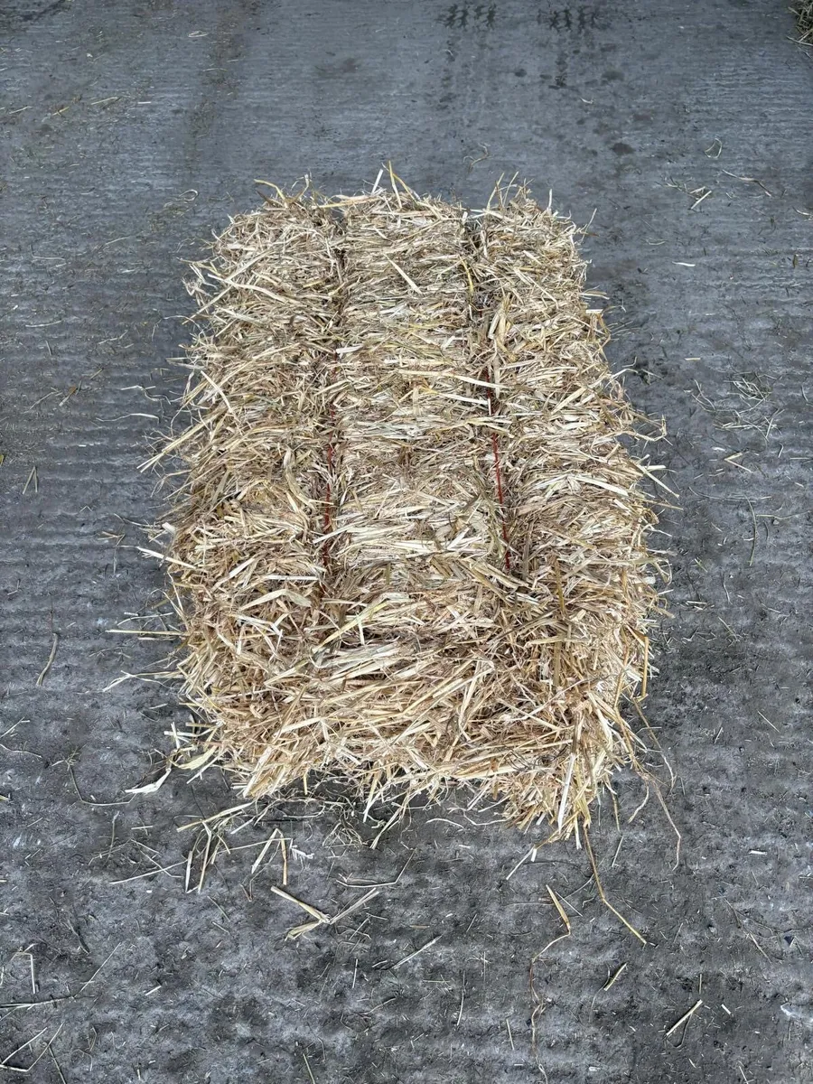 Small square bales of Hay&Straw - Image 2