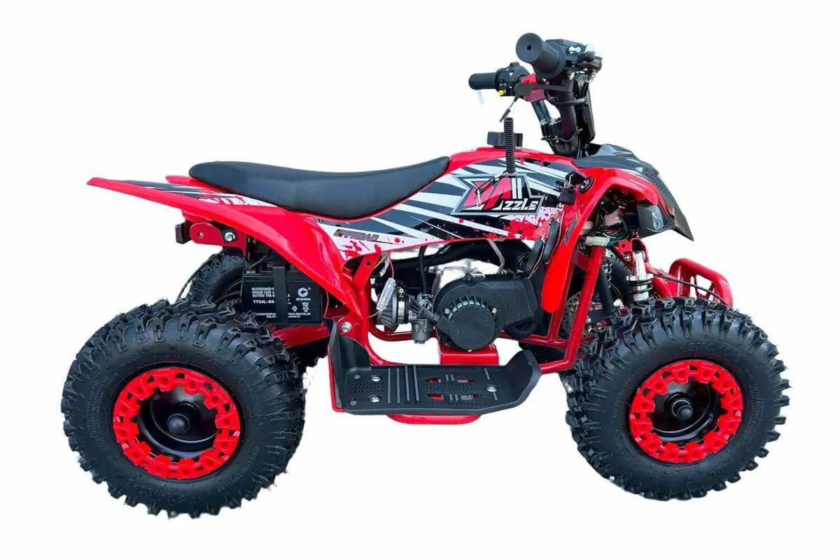 Mini Quad - Kids ATV with Electric Start Brand New - Image 2