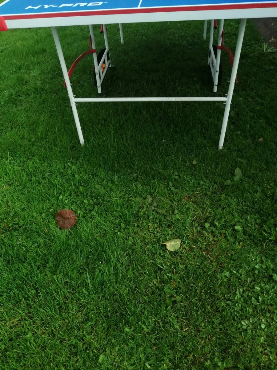 Table tennis table - Image 4