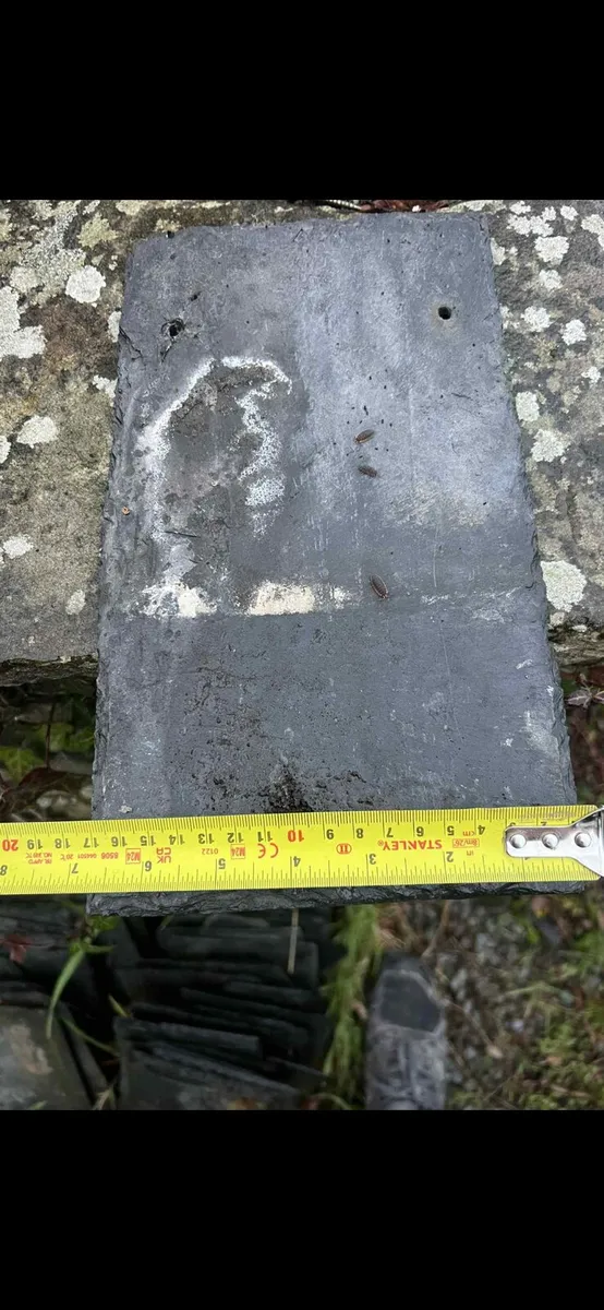 Natural Slates - Image 3
