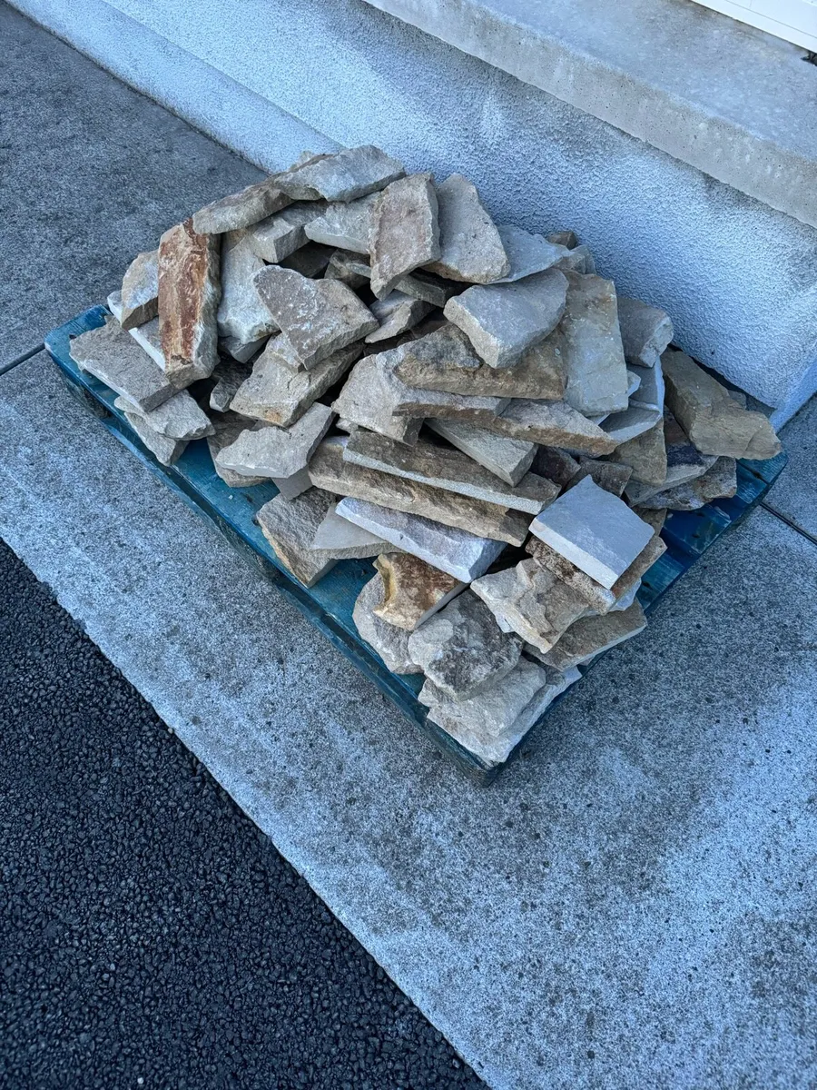 Donegal cream  sandstone *Thinstone - Image 1