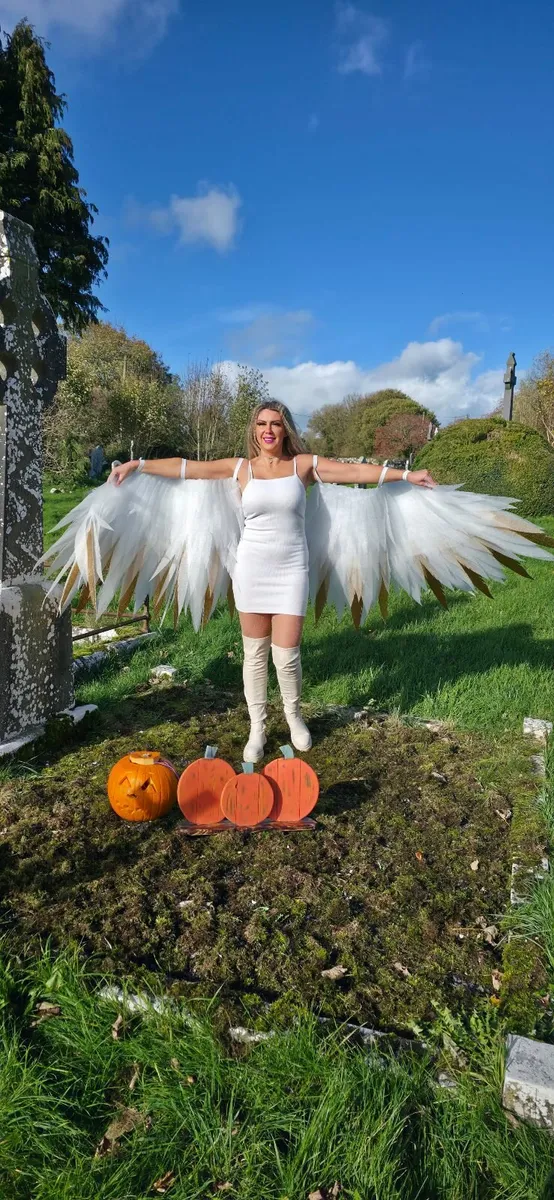 Angel wings - Image 1