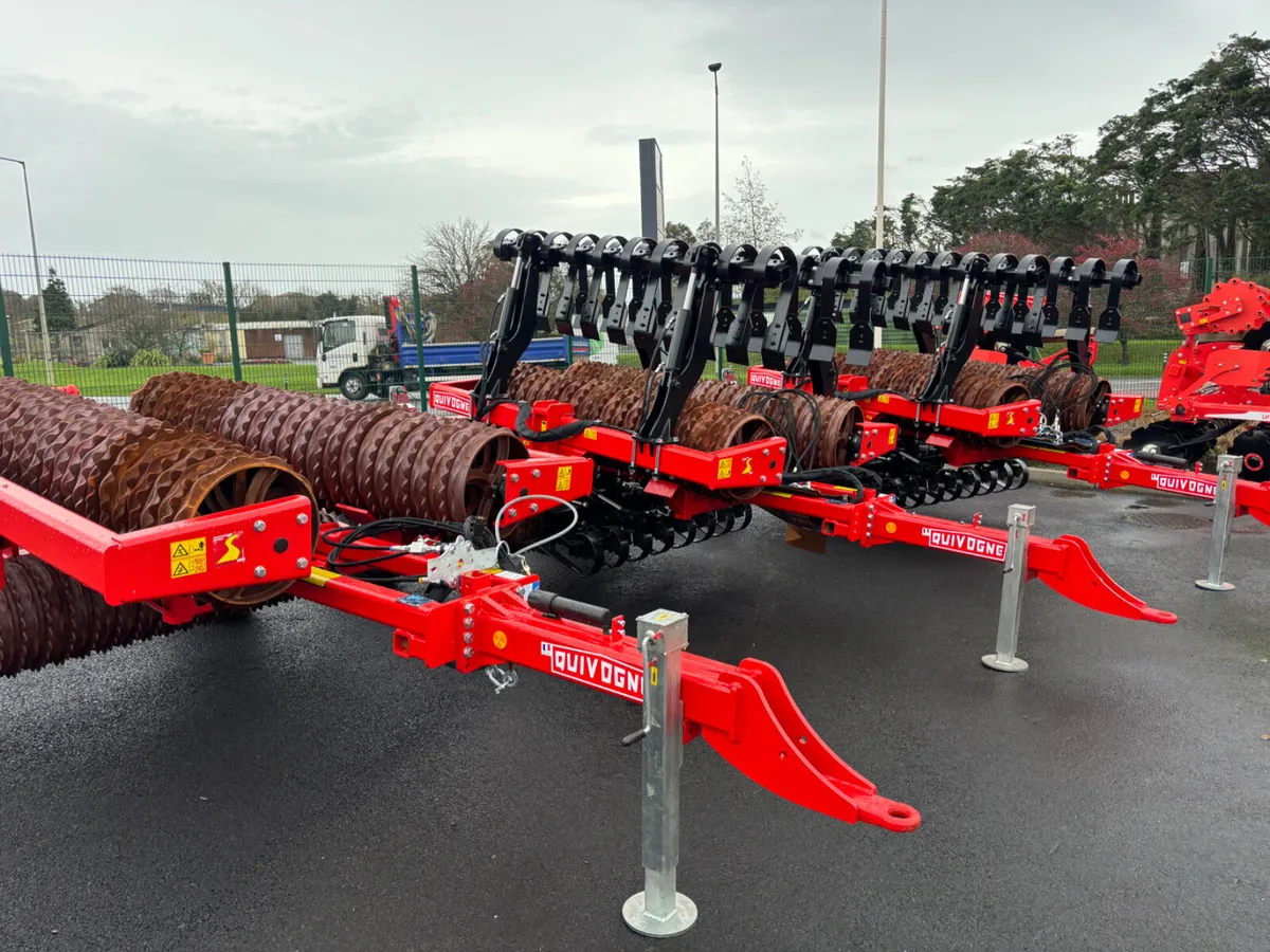 Quivogne Ring Rollers - Image 2