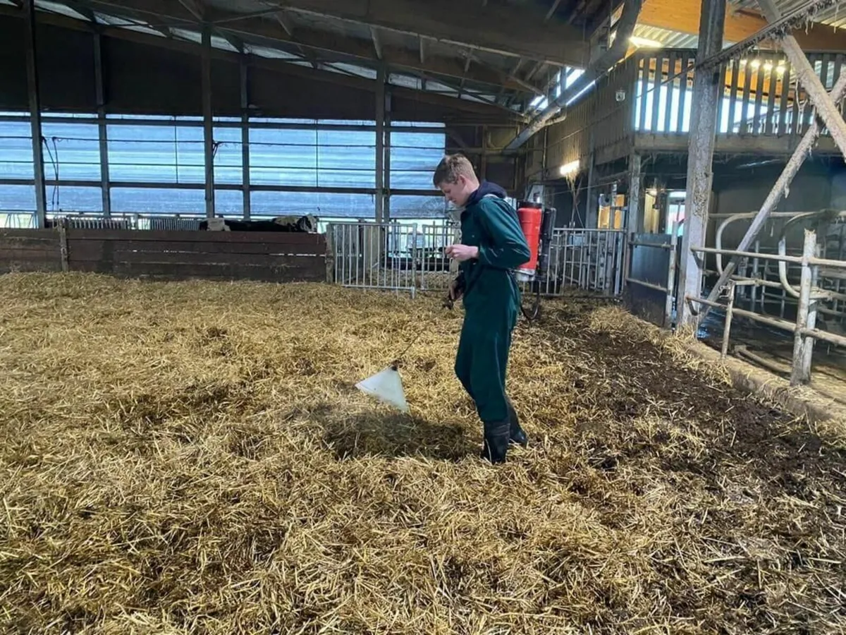 Keep Your Stables Fresh & Your Horses Healthy - Image 3