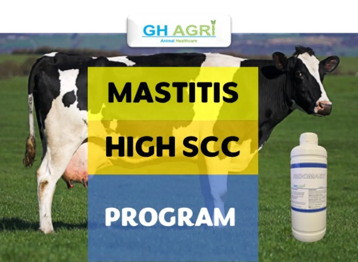 €14 per cow Scc & Mastitis (No Withdrawals) - Image 1