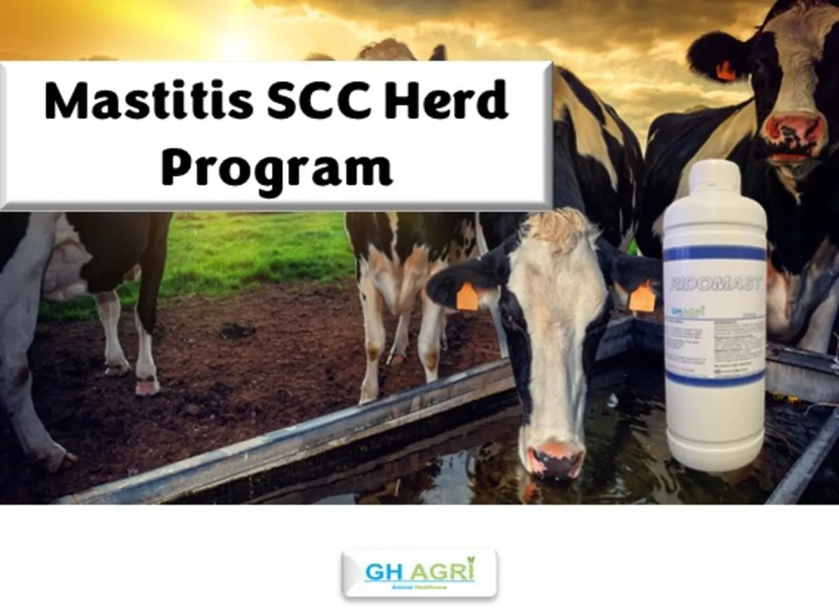 €14 per cow Mastitis SCC Program - Image 2