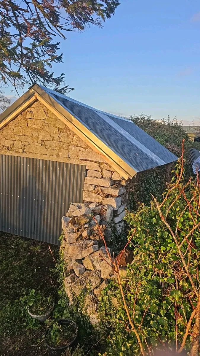 TEAM BRAZIL Roofing repairs & building - Image 2