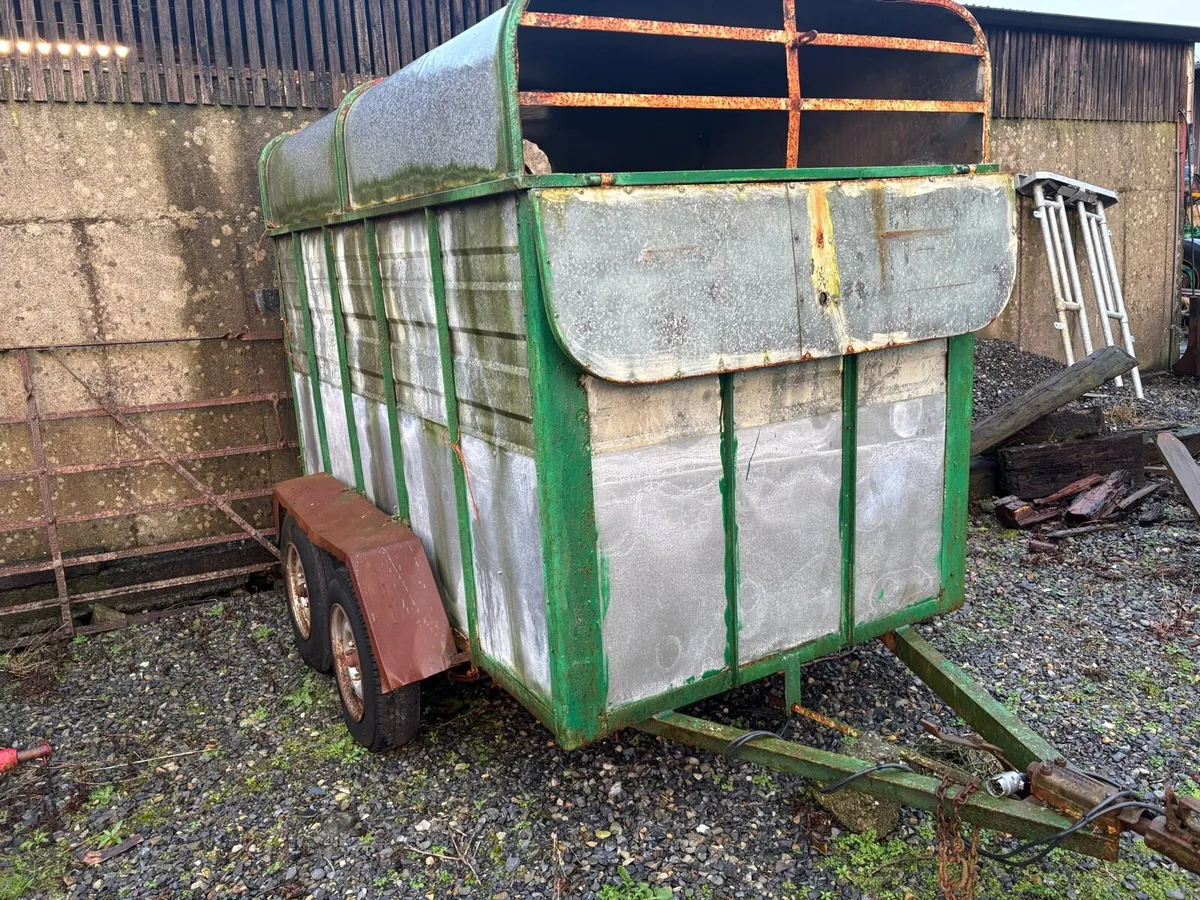 cattle trailer - Image 3