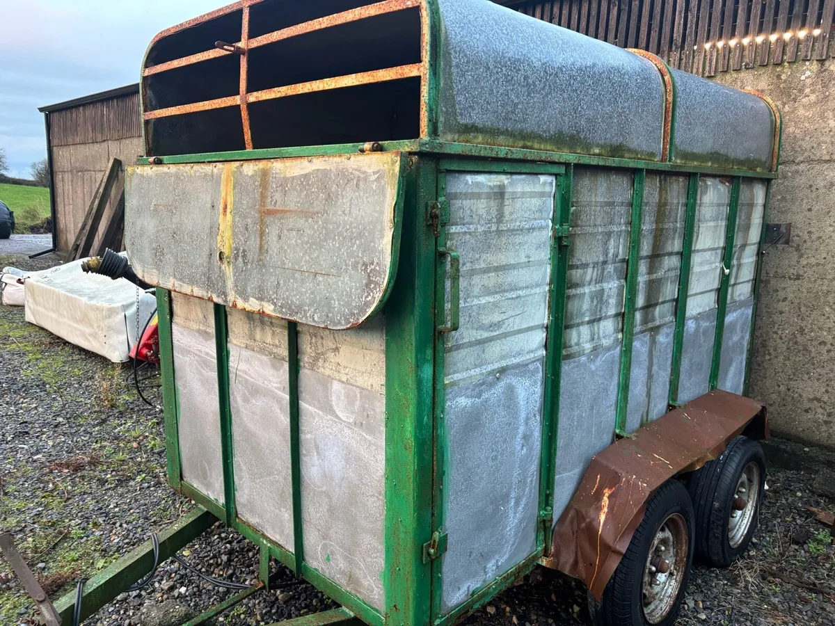 cattle trailer - Image 1