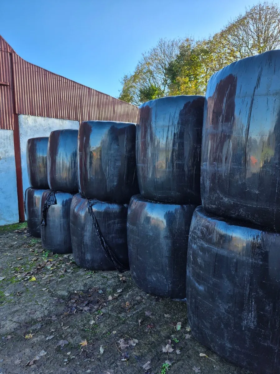 Round Silage Bales & Straw - Image 1