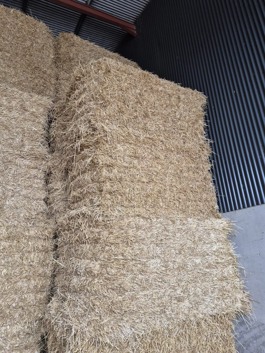 Round Silage Bales & Straw - Image 3