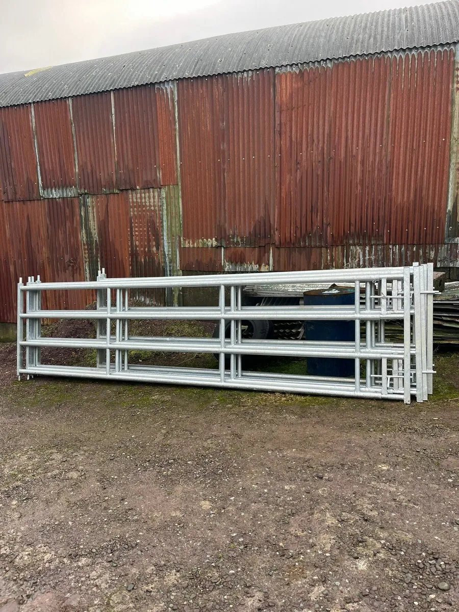 Extendable gates, and  barriers. - Image 1
