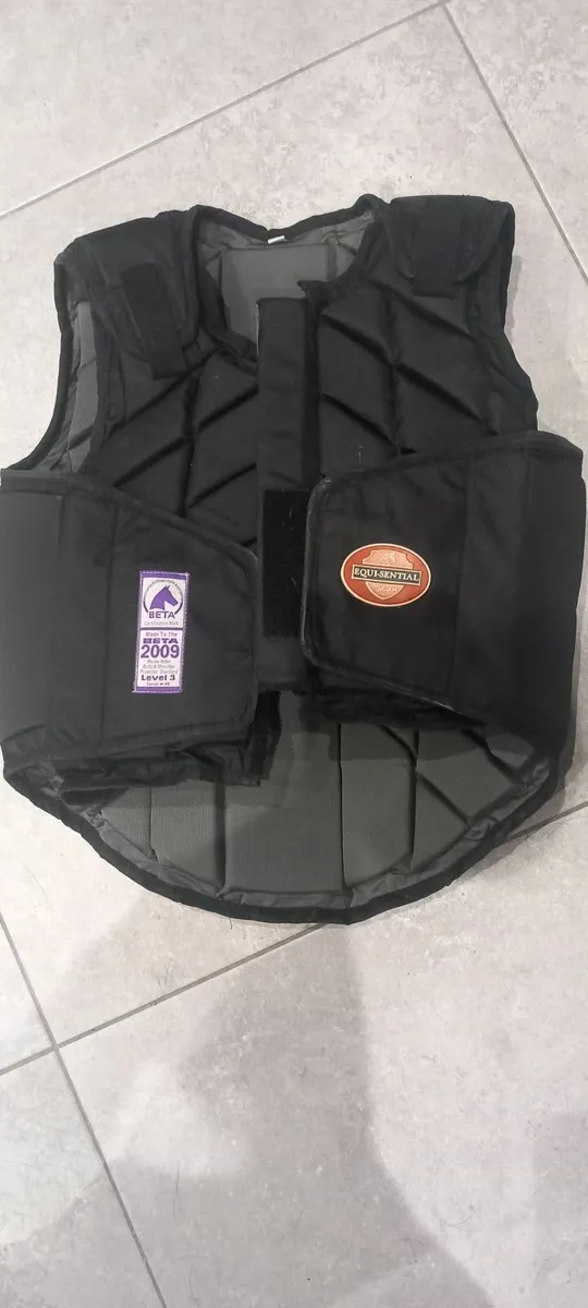 Horse Riding Back protector - Image 2