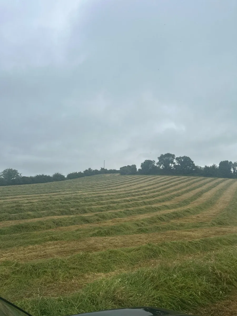 Single Chop Silage Bales - Image 2