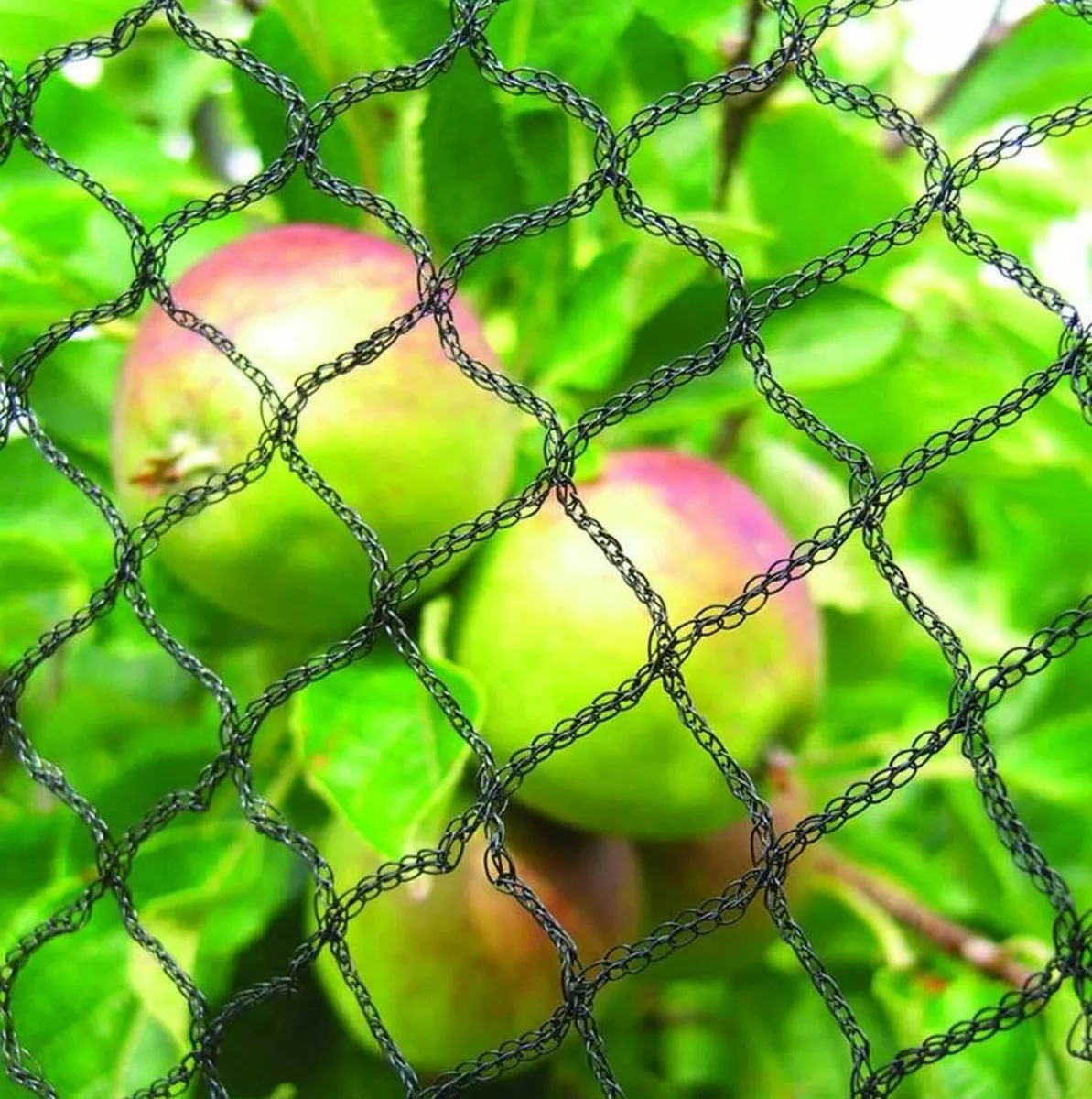 Bird Protection netting - Image 3